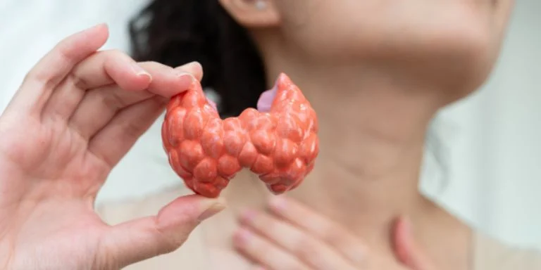 Detectar a tiempo los problemas de tiroides es esencial. Algunos síntomas que deben encender las alertas son: cansancio extremo, sensibilidad al frío o calor, cambios en el ritmo cardíaco, pérdida de cabello, trastornos menstruales, problemas de memoria y cambios en el estado emocional.