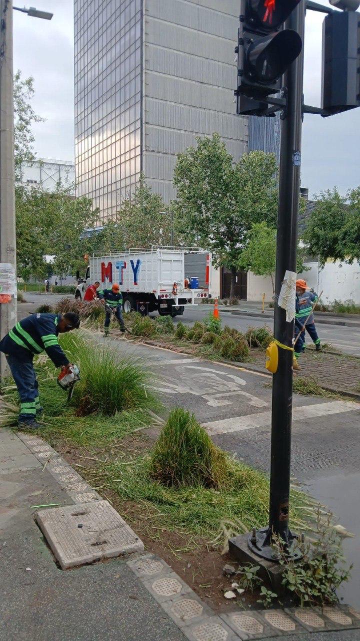 El Municipio de Monterrey a través de la Secretaría de Servicios Públicos lleva a cabo de manera permanente acciones en beneficio de la ciudad.