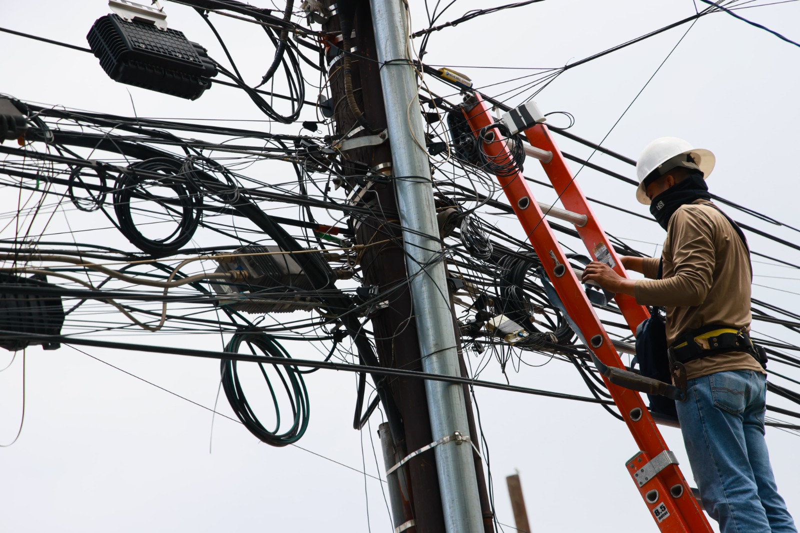 La meta del programa Monterrey Limpio es eliminar al menos un millón de metros lineales (equivalente a mil kilómetros) de cableado que no se utiliza.