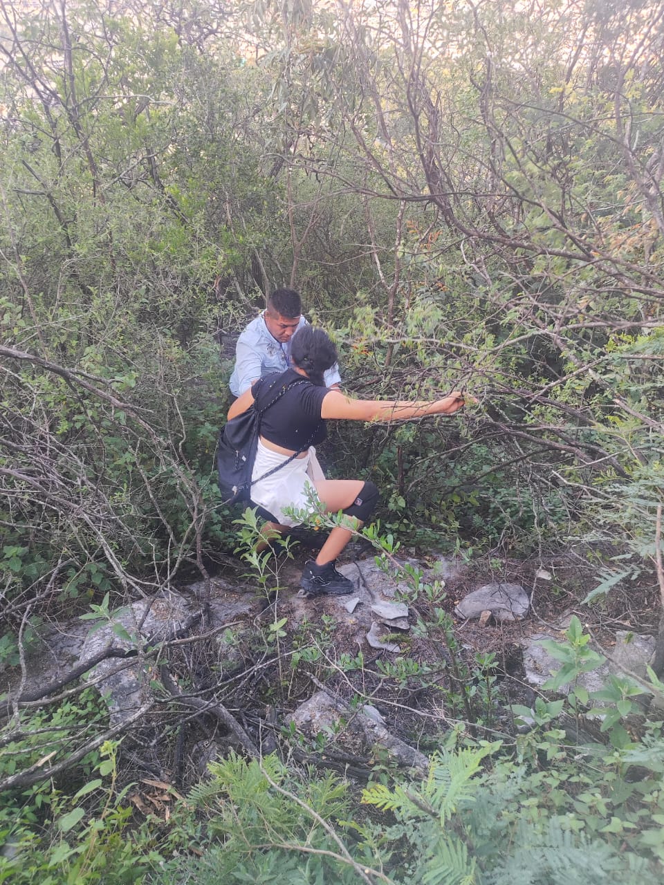 Ante el temor de que la sorprendiera la noche en el Cerro de las Mitras, decidió comunicarse vía telefónica y pedir auxilio a las autoridades.