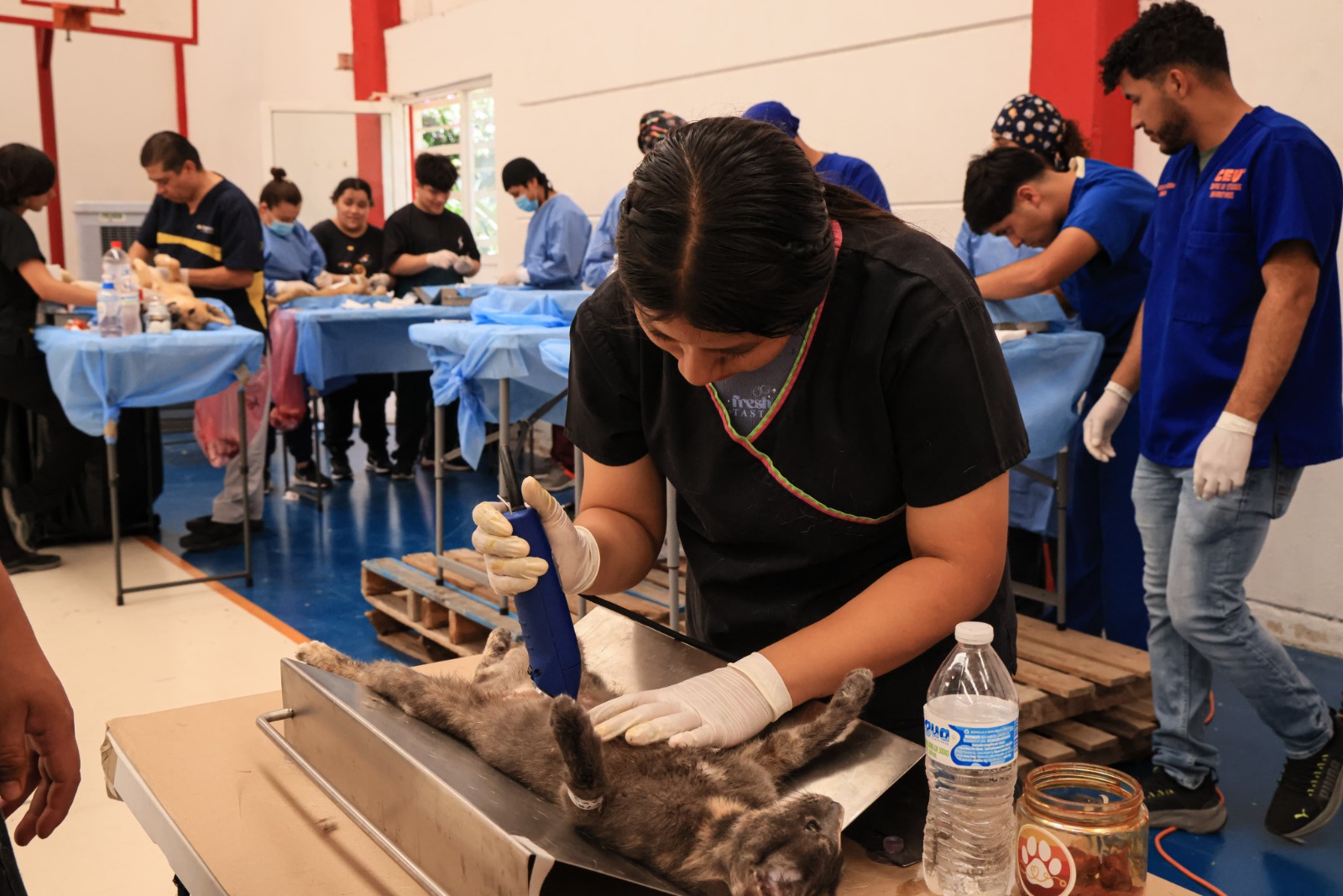 La atención se brindó de 8:30 de la mañana a 4:00 de la tarde, con un total de 113 mascotas atendidas.