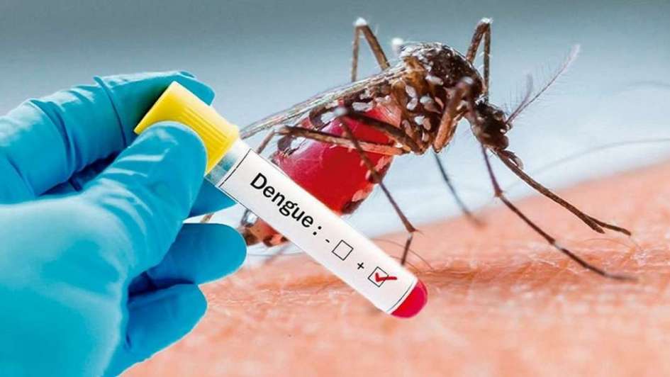 “Desde febrero de este año comenzamos con la implementación del Plan Nacional para el Control de Dengue y otras Arbovirosis. Queremos no solo reducir la incidencia, sino mejorar la capacidad de respuesta clínica en todo el país”, señaló.